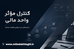 کنترل مؤثر واحد مالی