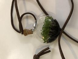 گیاه کوچک من