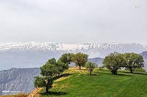چهل دختر