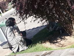 پسا‌‌‌کنکور