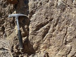 کشف نوین، ردپای دایناسورها مهمترین جاذبه گردشگری زرند، کرمان شد