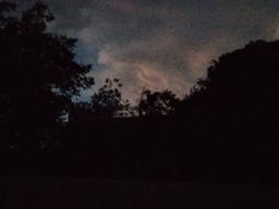 ●| دخترکِ پیچ‌گوشتی به دست