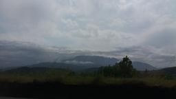 دستم را بگیر!