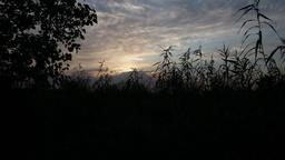 دستم را بگیر! ۵