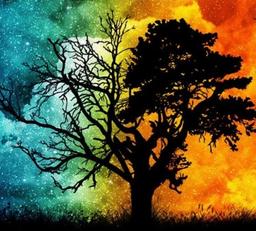 ? به نام خالق ?