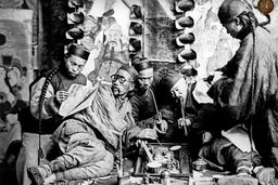 از فنا تا بقا،فرگشت روح میمون ها(۱۰)