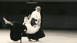 کامل ترین دفاع شخصی جهان!!