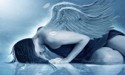 پرواز بدون بال