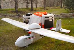 معرفی پرنده بومی عکسبردار