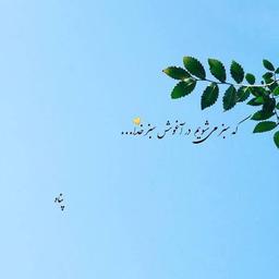 جوانه باور کرد و درخت شد...