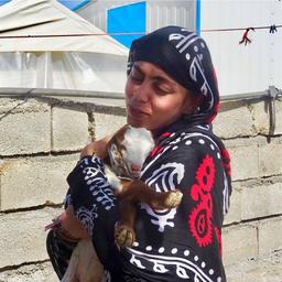 برای گل قشنگ باغ ایران زمین