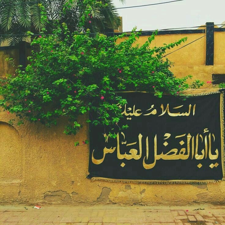 گیریم که دست و علم و مشک بیفتد | برخیز فدای سرت، انگار نه انگار...
