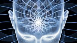 دانلود رایگان کتاب فارسی متون روانشناسی به زبان انگلیسی لیندا لیل