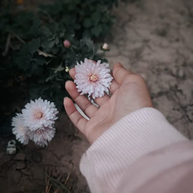 سال اول دانشجویی