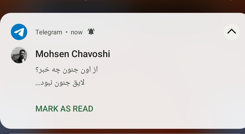 میفهمیم، ولی دیر