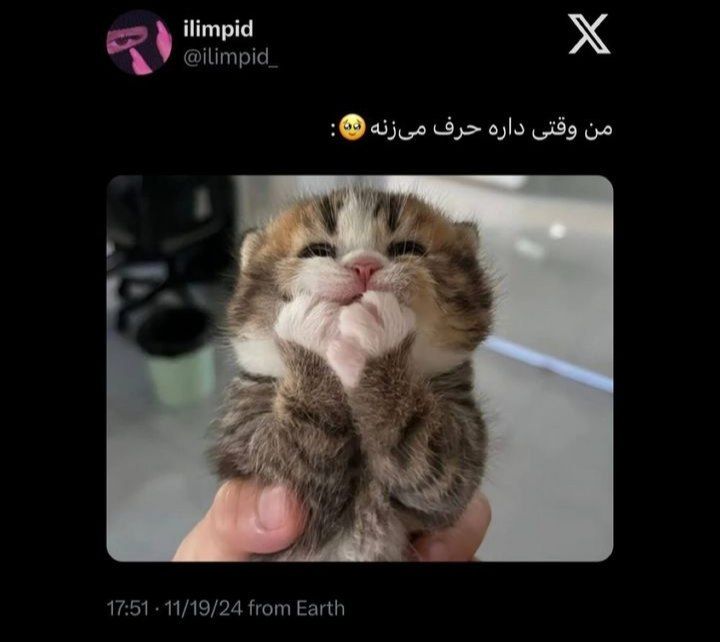 ذوخ ذوخی شدننن