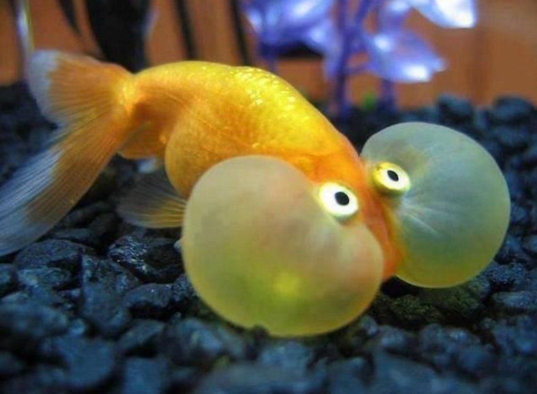 من وقتی سعی میکنم تو جمع جلوی خنده یا گریه ام رو  