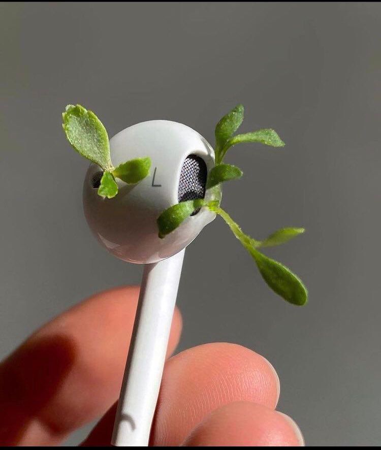 وقتی صدای محبوبت رو میشنوی