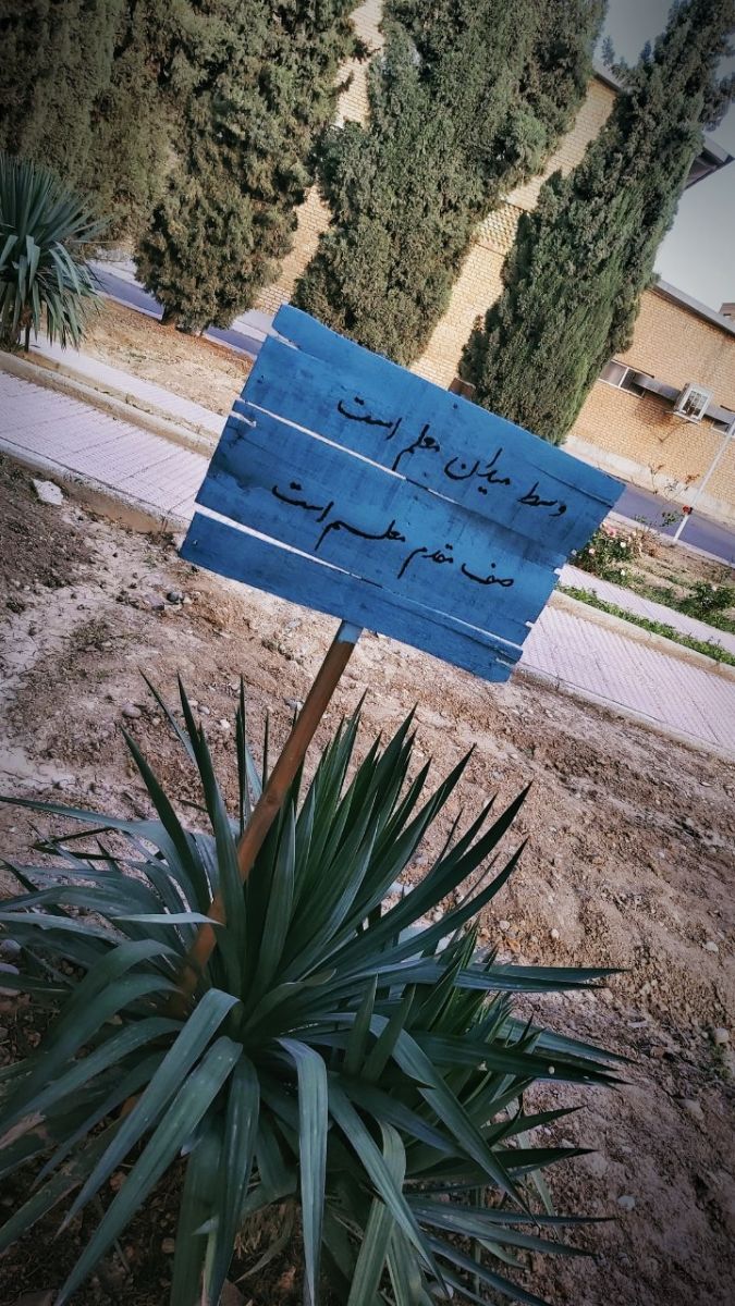 حیاط دانشگاه