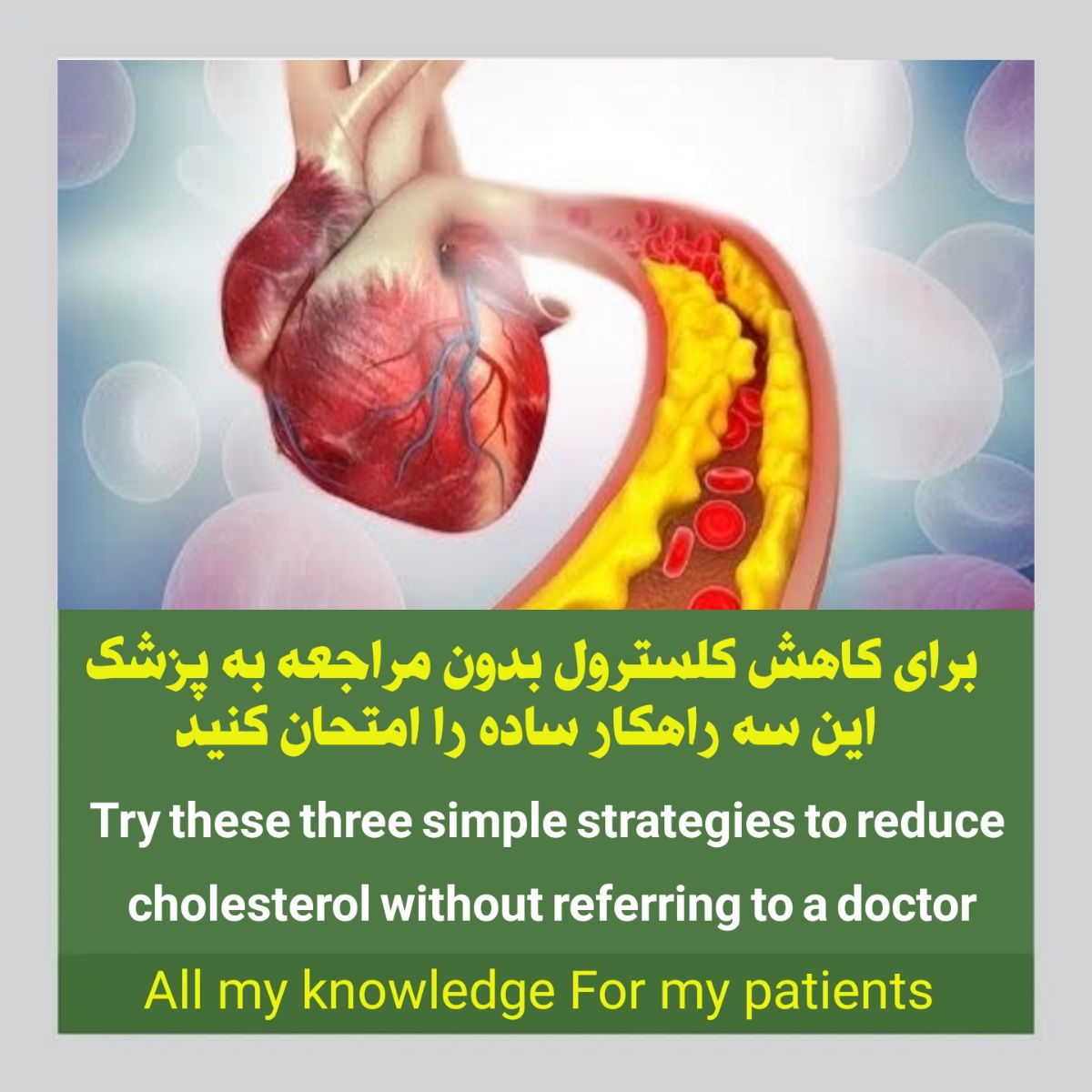 کاهش کلسترول