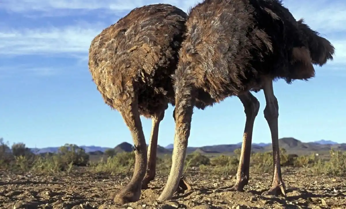 هموطنان خودتان را فریب ندهید که بزرگترین دشمان انسان جهل و شیطان است