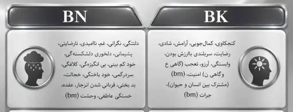 بررسی احساسات بی اثر