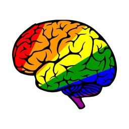 تاثیر رنگ‌ها بر احساسات و روان انسان