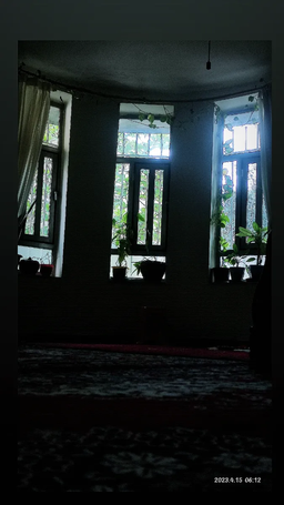 حیاط خانه ما