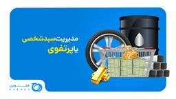 اهمیت مدیریت سبد شخصی یا پرتفوی
