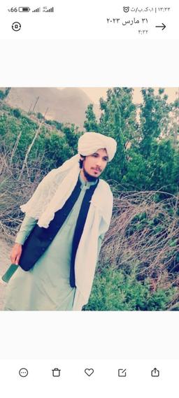 ابوبکر ناروئی مطالعه کتب