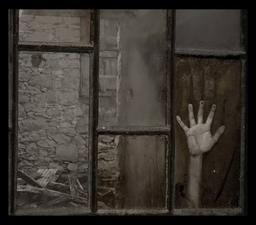 مرگ انسانیت..