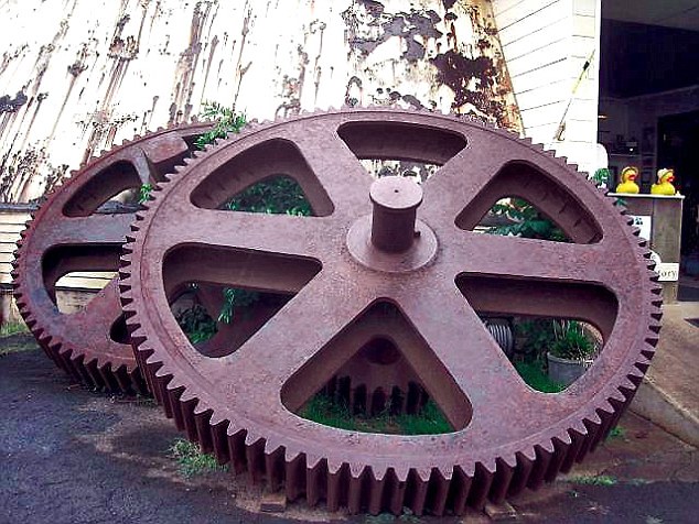 قطعاتی که کریس و پتا به آن بسته شده بودند