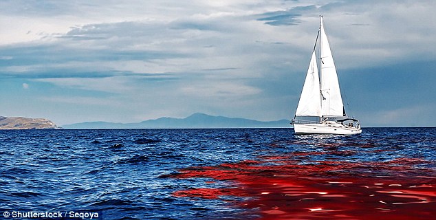 او از طریق فیسبوک قاتل برادرش را پیدا کرد