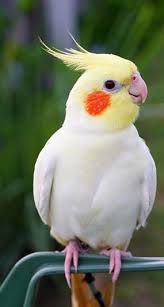 عکسی از اینترنت