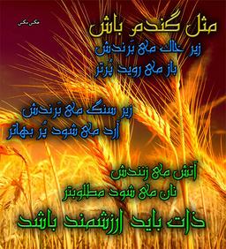 زندگي به چه قيمتي؟؟؟