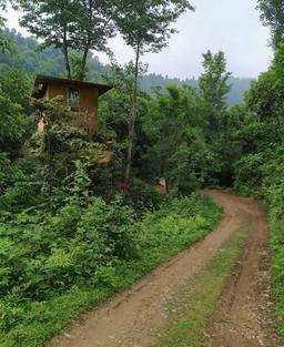 هیس..فقط گوش کن!