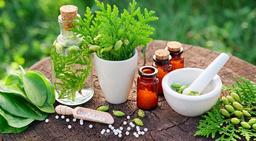 تفکرات اشتباه درمورد داروهای گیاهی