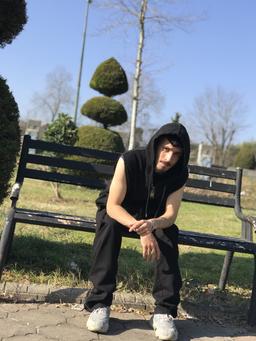 مجتبی آیرونساید