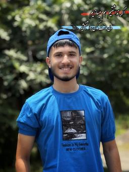 مجتبی آیرونساید