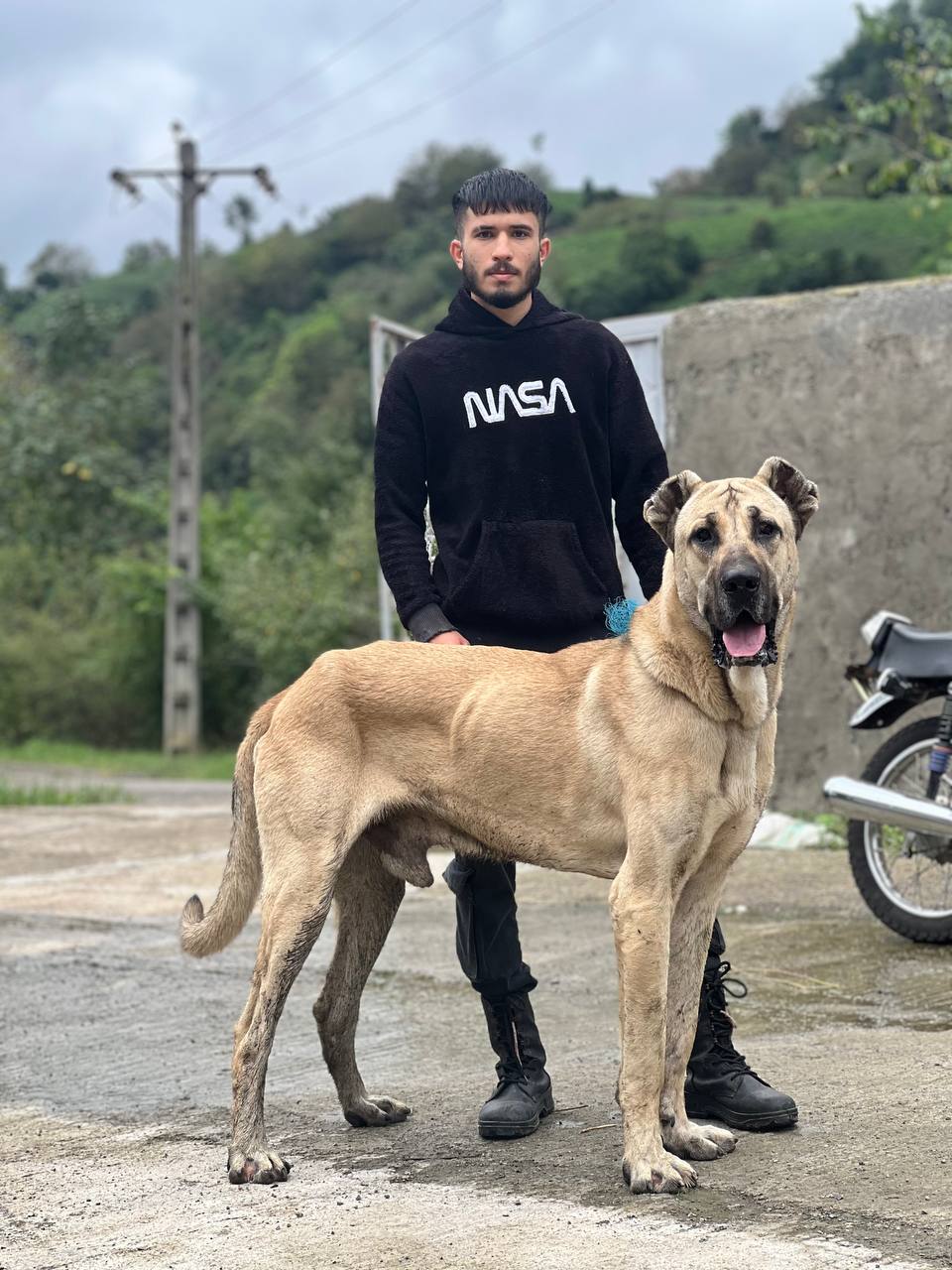 مجتبی آیرونساید — مردی از فولاد و اراده.او نه از راه آمده، نه در پی تقلید است؛ خودش مسیر را ساخته است.در دنیایی که همه به‌دنبال قهرمان‌اند، او خود را افسانه کرد.از دل سختی‌ها برخاست، از میان شکست‌ها عبور کرد، و از دردها زره ساخت.طوفان را نه دشمن، که تمرین قدرت خود دید.هر ضربه‌ای که خورد، او را قوی‌تر کرد، نه خاموش‌تر کرد.نامش از آهن است، اما قلبش از آتش ساخته شده است.وقتی زمین لرزید، او ایستاد. وقتی سکوت همه را گرفت، او فریاد شد.مجتبی آیرونساید فقط یک نام نیست، یک طرز فکر است.طرز فکری که می‌گوید: "اگر دنیا سد راهت شد، سد را بشکن، نه رؤیایت را."او باور دارد قدرت واقعی از دهر گامی که برمی‌دارد، اثری از شجاعت بر جای می‌گذارد.او آمده تا یاد دهد: شکست، تنها پیش‌درآمد پیروزی است.در وجودش صدای جنگجویی می‌پیچد که از مرزها عبور کرده است.و این فقط آغاز افسانه‌ایست به نام مجتبی آیرونساید .