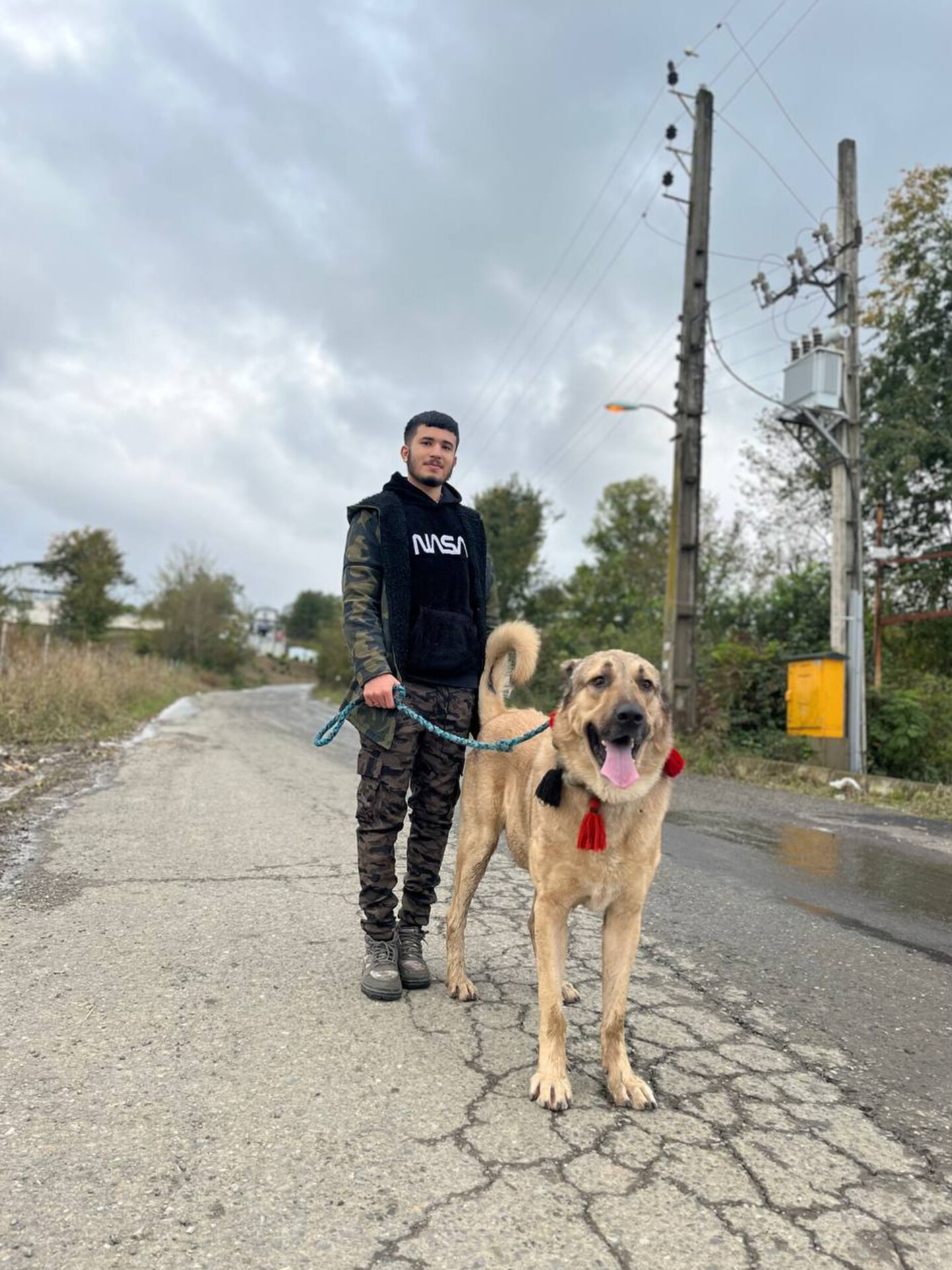 مجتبی آیرونساید؛ مردی از دل شمال، که از طبیعت قدرت می‌گیرد و با اراده‌ی فولادینش مسیر خودش را می‌سازد.»«هیچ‌کس نمی‌داند مجتبی آیرونساید از کجا آمده، اما همه می‌دانند ردّ قدم‌هایش در دل جنگل، نشانه‌ی قدرت است.»