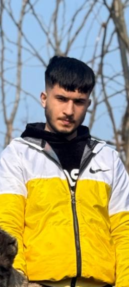 مجتبی آیرونساید