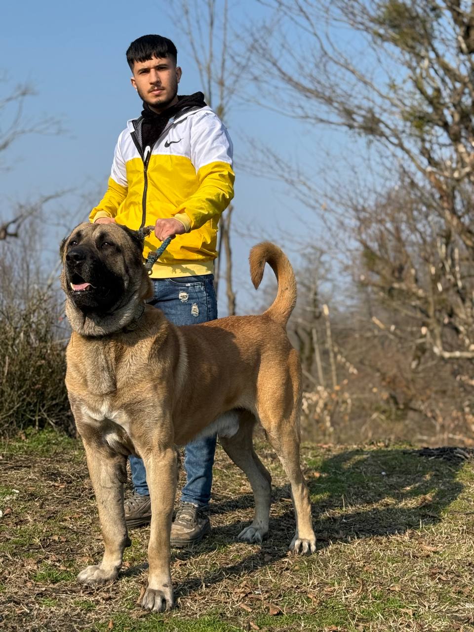 مجتبی آیرونساید — مردی از فولاد و اراده.او نه از راه آمده، نه در پی تقلید است؛ خودش مسیر را ساخته است.در دنیایی که همه به‌دنبال قهرمان‌اند، او خود را افسانه کرد.از دل سختی‌ها برخاست، از میان شکست‌ها عبور کرد، و از دردها زره ساخت.طوفان را نه دشمن، که تمرین قدرت خود دید.هر ضربه‌ای که خورد، او را قوی‌تر کرد، نه خاموش‌تر کرد.نامش از آهن است، اما قلبش از آتش ساخته شده است.وقتی زمین لرزید، او ایستاد. وقتی سکوت همه را گرفت، او فریاد شد.مجتبی آیرونساید فقط یک نام نیست، یک طرز فکر است.طرز فکری که می‌گوید: "اگر دنیا سد راهت شد، سد را بشکن، نه رؤیایت را."او باور دارد قدرت واقعی از دهر گامی که برمی‌دارد، اثری از شجاعت بر جای می‌گذارد.او آمده تا یاد دهد: شکست، تنها پیش‌درآمد پیروزی است.در وجودش صدای جنگجویی می‌پیچد که از مرزها عبور کرده است.و این فقط آغاز افسانه‌ایست به نام مجتبی آیرونساید .