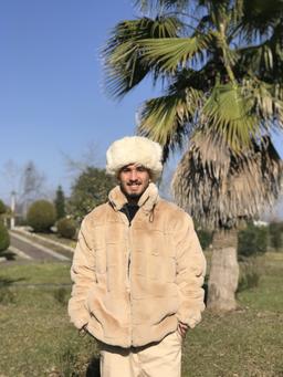 مجتبی آیرونساید