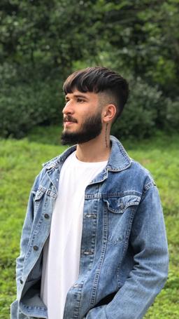 مجتبی آیرونساید