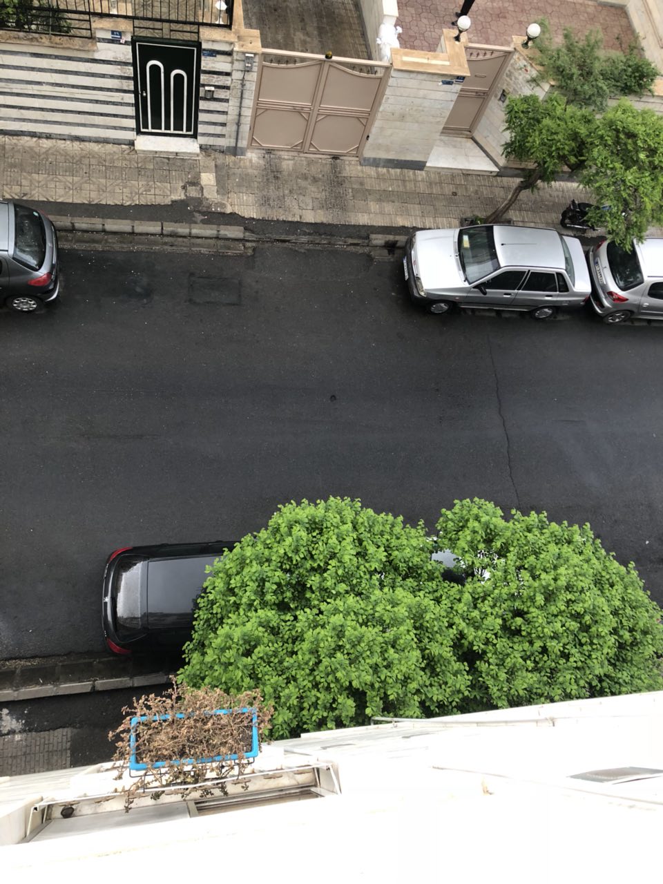 خواب‌های سرگردان