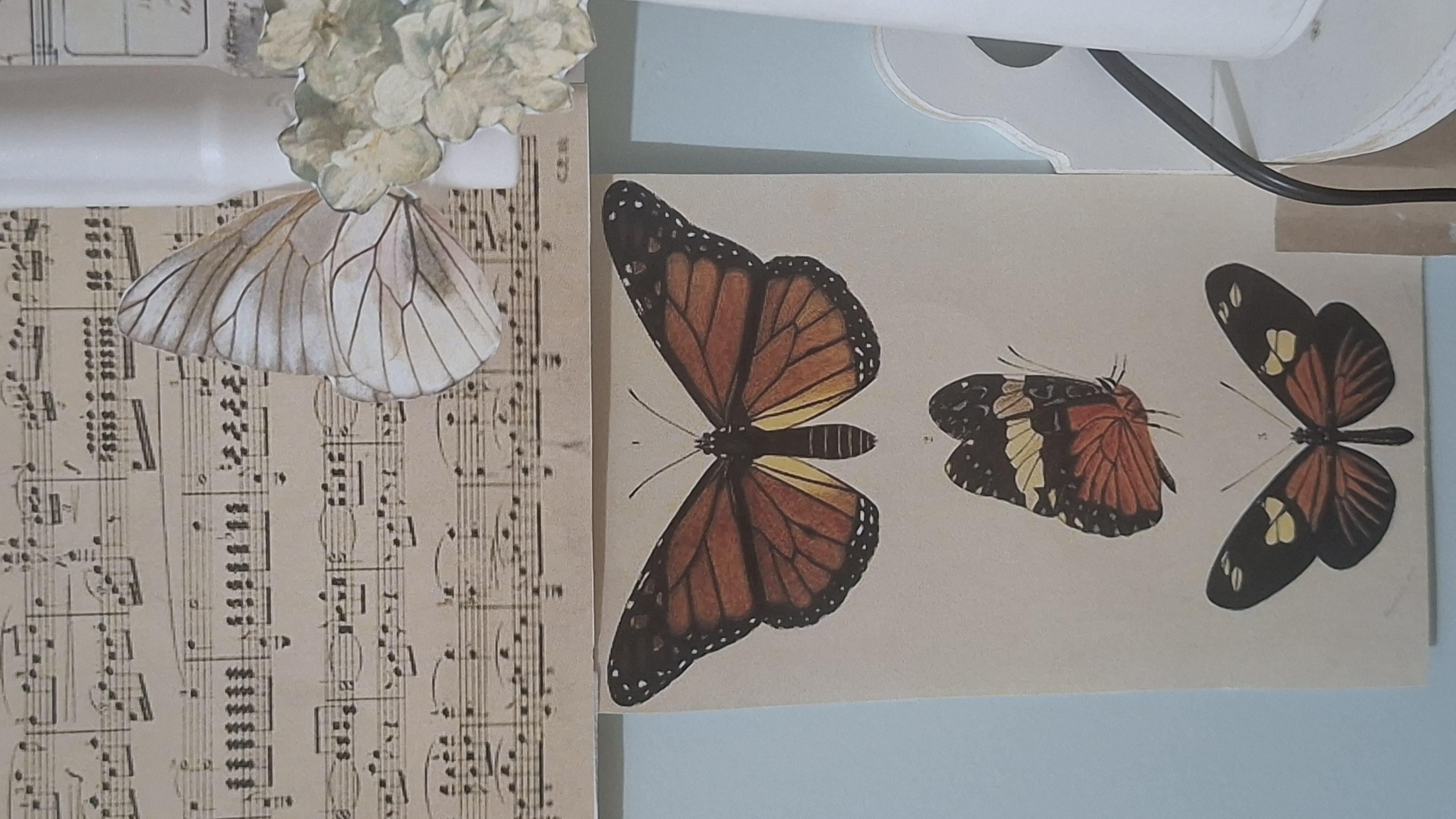 از روبه رو،پرقدرت اما ناز.و از کنار،تماما ظریف و ملوس!