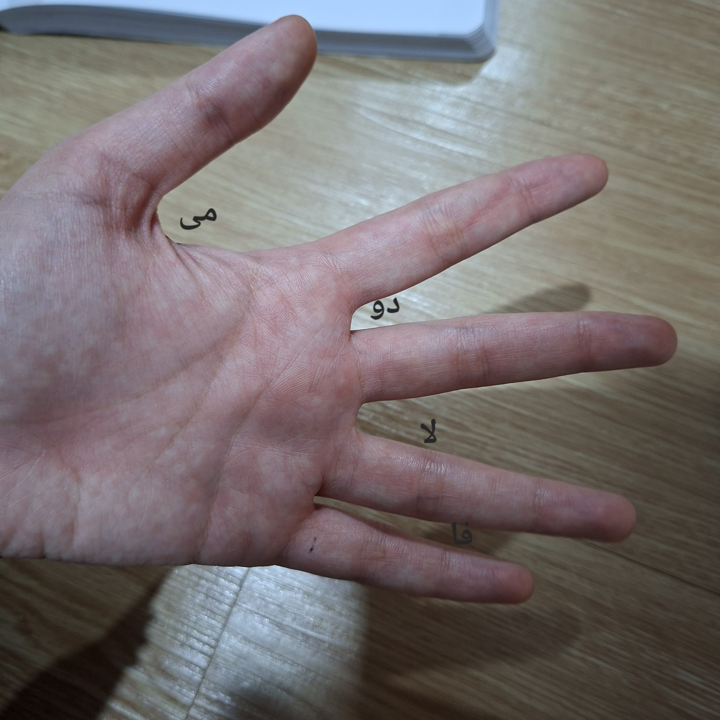 در فضای بین دو انگشتت(نزدیک به جایی که دو انگشت بهم متصل میشند) نت های بین خط رو بنویس.