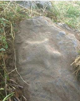 نماد لاک پشت در باستان چه کاربردی داشت؟