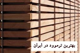 معرفی بهترین ترموود در ایران [کدام ترموود ایرانی ارزش خرید دارد؟]